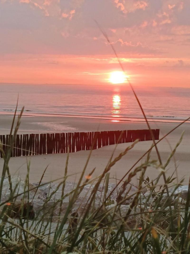 Sangatte Guest House - Studio Room Sunset - Seafront Eksteriør billede